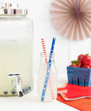 Red/White and Blue Reusable Straws  My Mind’s Eye   