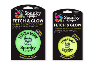 Fetch and Glow Ball Spunky Pup