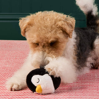 Penguin 2-in-1 Bounce Dog Toy The Foggy Dog