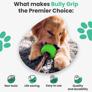 Classic Small Dapper dog toy with a green chew ball on a stick