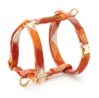 Pumpkin Spice Flannel Harness The Foggy Dog