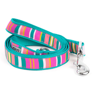 Fiesta Stripe Lead Dapper The Worthy Dog