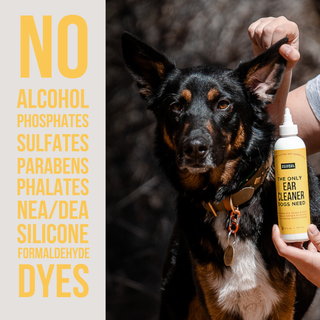 The Only Ear Cleaner Dogs Need dog ear cleaner spray with a yellow label bottle.