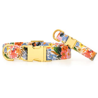 Rifle Paper Co. x TFD Marguerite Dog Collar The Foggy Dog