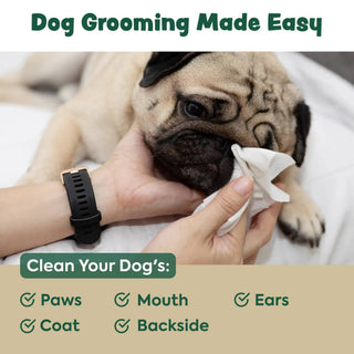 Extra Thick Herbal-Infused Dog Grooming Wipes, 100-count