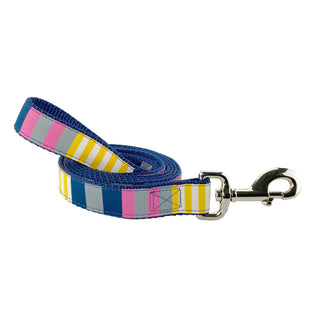 Sunshine Stripe - Dog Leash Dog & Me