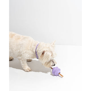 Twist Toss Treat Dispensing Dog Toy Wild One