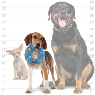 Mighty Ring-Medium Celebration, Squeaky Dog Toy, No Stuffing Dapper Tuffy Dog Toys - VIP Products