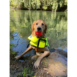 Fetch and Glow Ball dog toy held by a golden retriever wearing a neon-yellow life jacket by a lake; red ball in mouth