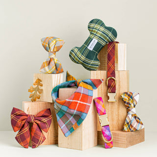 Cider Plaid Flannel Fall Dog Collar The Foggy Dog