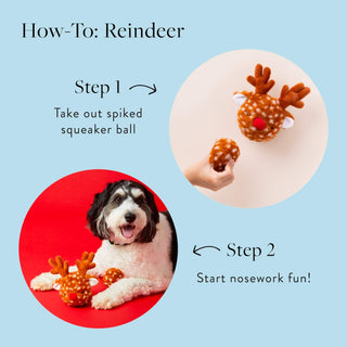Reindeer 2-in-1 Bounce Dog Toy The Foggy Dog