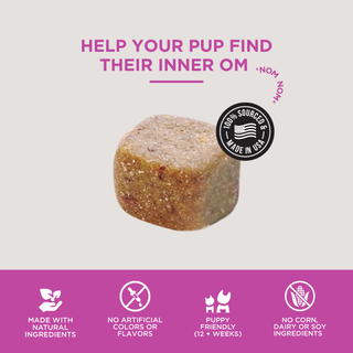 The Only Melatonin Calming Soft Chews Dogs Need Natural Rapport