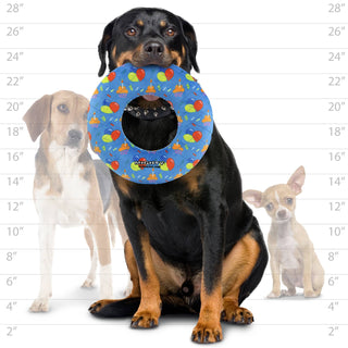 Ring-shaped blue dog toy with colorful celebration pattern, squeaks, no stuffing; three dogs shown.