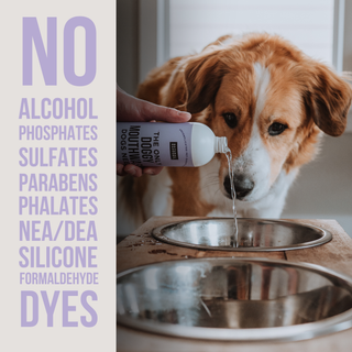 The Only Doggy Mouthwash Dogs Need Natural Rapport