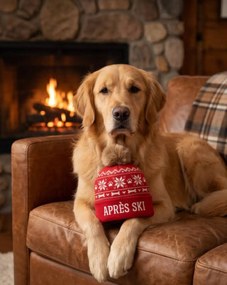 Dog toy Apres Ski Pom Pom Hat, red knit with white snowflake pattern and pom-pom
