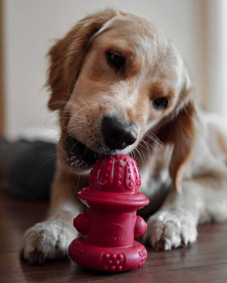 Double Wall Hydrant - Made in the USA Spunky Pup