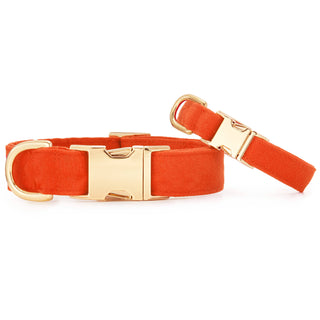 Cider Dog Collar The Foggy Dog