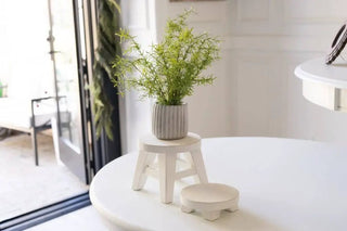 Round mini white wood risers on a white table, plant in a gray pot atop the larger riser.