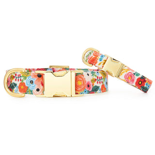 Garden Party dog collar with floral print and gold hardware