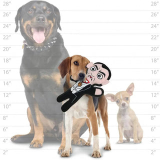 Dog toy Dracula Halloween plush, black-and-white, held by a beagle among three dogs
