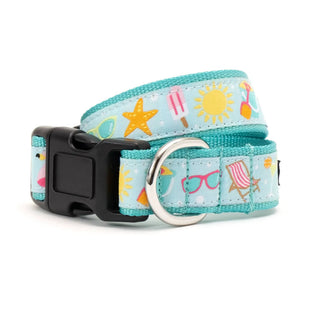 Life's a Beach Collar, turquoise adjustable dog collar with sun and starfish print and metal D-ring.
