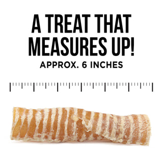 The Only Beef Trachea Chews Dogs Need Natural Rapport