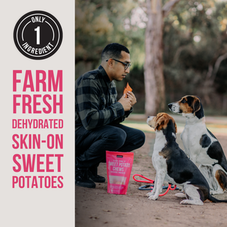 Dog treat The Only Dehydrated Sweet Potato Chews Dogs Need in a pink bag; skin-on potatoes, 1-ingredient badge
