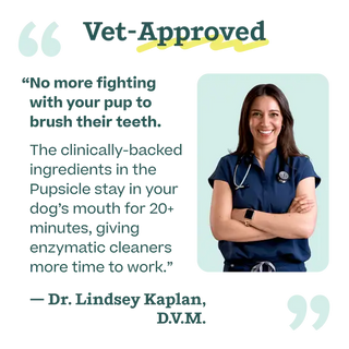 Pupsicle Mix- Doggy Dental dog treat shown with a vet in navy scrubs
