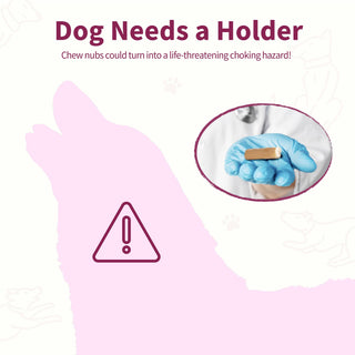 Chewise Bully Stick Holder - Pink Chewise Official