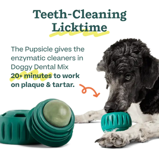 Pupsicle Mix Doggy Dental chew toy for dogs in green, shown with a dog.