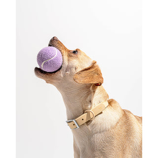 Individual Dog Tennis Balls Wild One