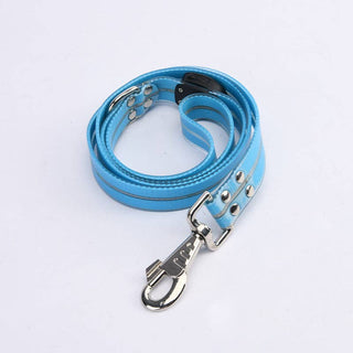 LED dog leash, blue strap with metal rivets and a heavy chrome snap hook for secure attachment during daily walks.