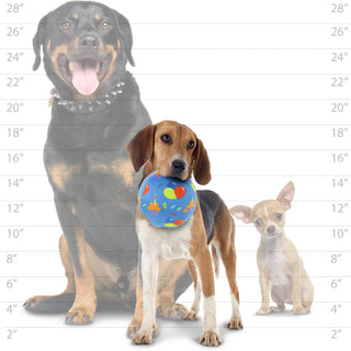 Mighty Ball-Medium Celebration Squeaky Dog Toy, No Stuffing; blue patterned ball in beagle's mouth with two other dogs.