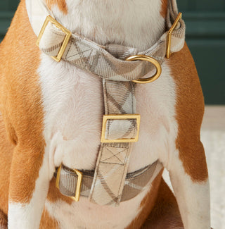 Andover Plaid Flannel Harness The Foggy Dog