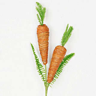 Raffia Wrapped Carrots Spray Impressive Enterprises, Inc.