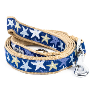Starfish Lead Dapper The Worthy Dog
