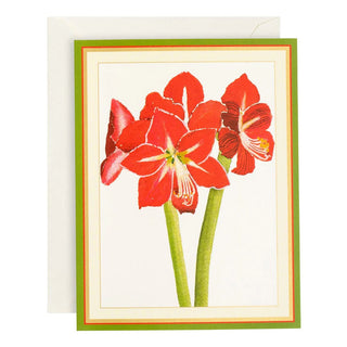 Red Amaryllis - Boxed Holiday Cards Caspari