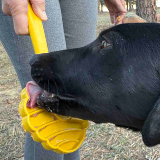 Lick Stick hand-held interactive enrichment toy, yellow plastic for dogs