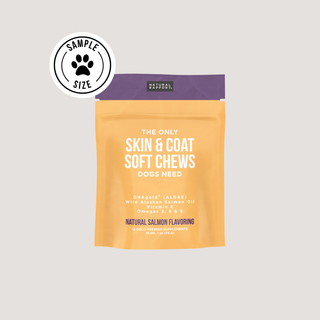 The Only Skin & Coat Soft Chews Dogs Need Natural Rapport 12 count pouch