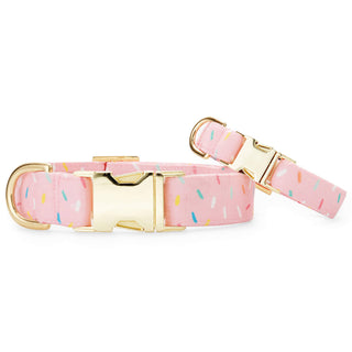 Sprinkles Birthday Dog Collar The Foggy Dog