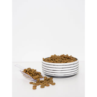 Vibrant Salmon Superfood Dog Food, poultry-free, 4lb, kibble in a white striped bowl with scoop
