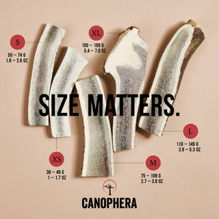 Dog chew made from red deer antler splits in natural beige and brown; assorted sizes XS-XL