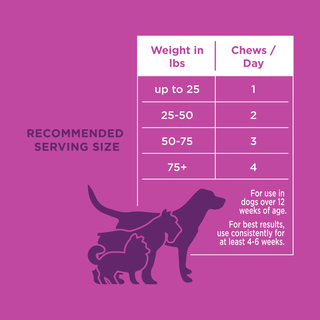 The Only Melatonin Calming Soft Chews Dogs Need Natural Rapport