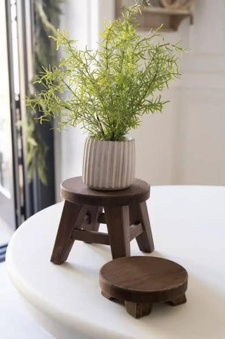 Round espresso wood riser with plant in a gray ribbed ceramic pot on top; includes small round cap, two-piece set.