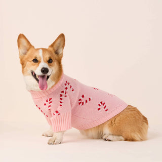 Pink Candy Canes Dog Sweater The Foggy Dog