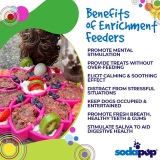 Mandala Design eTray Enrichment Tray for Dogs, pink plastic.