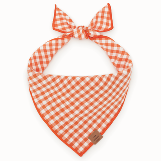 Cider Gingham Dog Bandana The Foggy Dog
