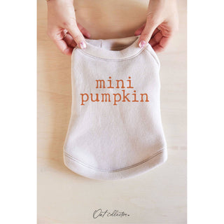 Mini pumpkin pet graphic sweatshirt in heather dust beige