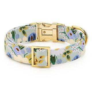 Rifle Paper Co. x TFD Vintage Blossom Spring Dog Collar The Foggy Dog
