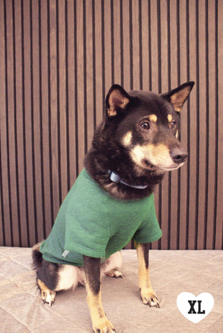 LOVER Pet Graphic Sweatshirt OAT COLLECTIVE